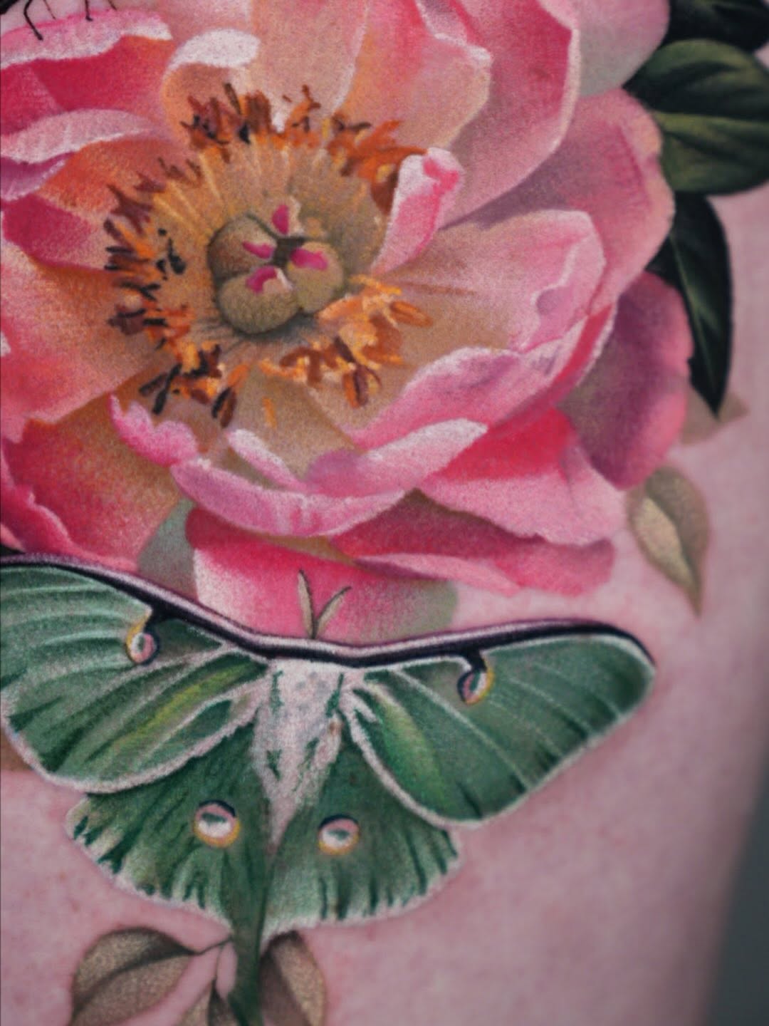 Tattoo by @_vividdreams โ realism, fine_line