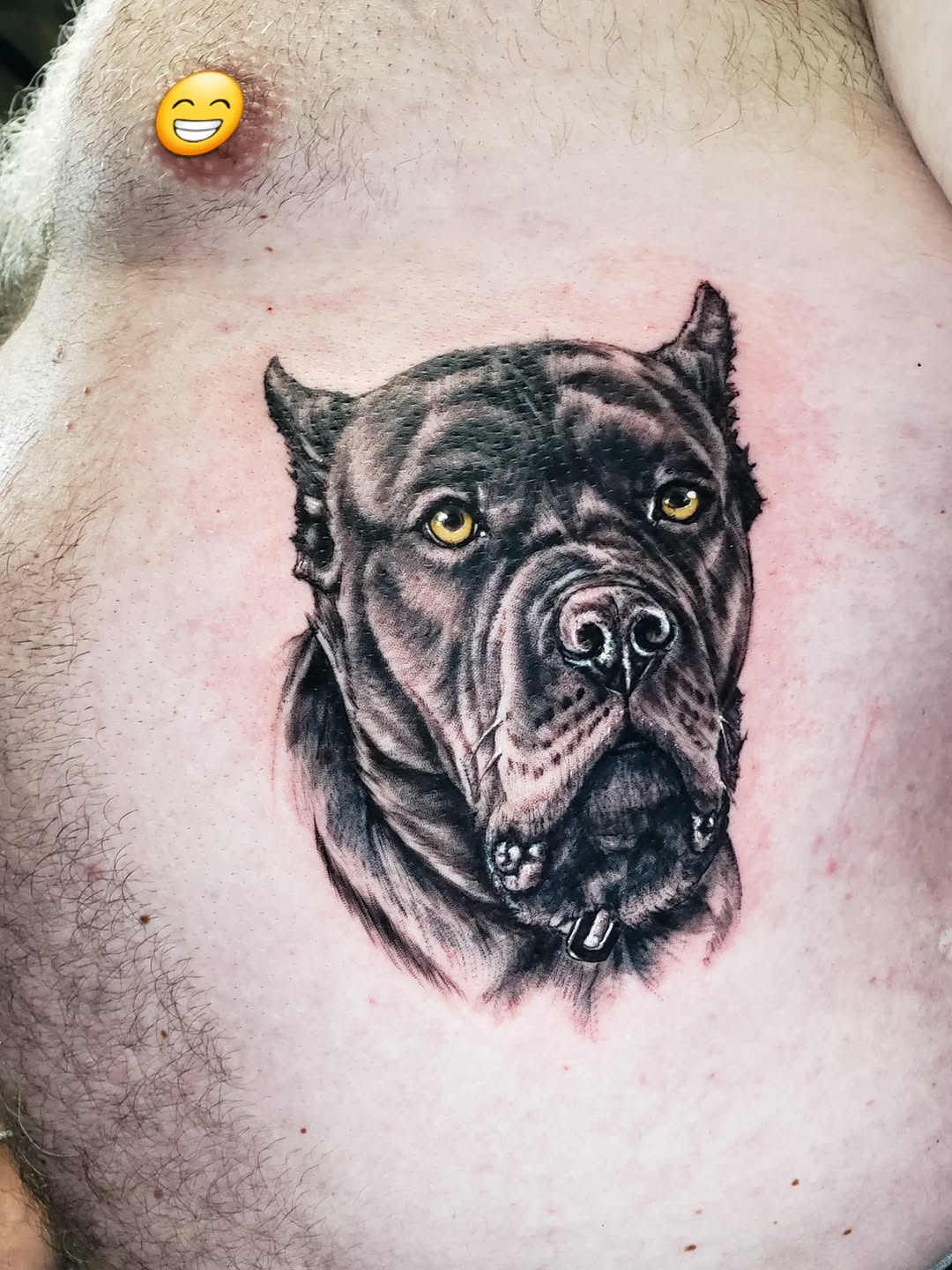 Tattoo by @tnchriswhitney — realism, black_and_grey