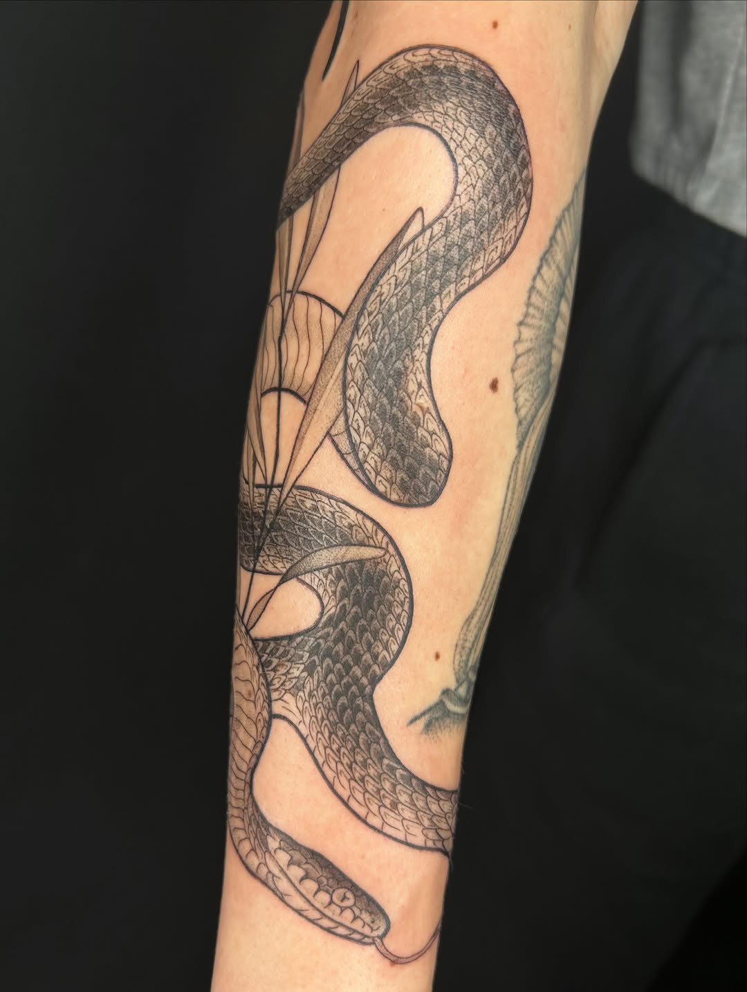 Tattoo by @frostyflakes.ink — black_and_grey, fine_line
