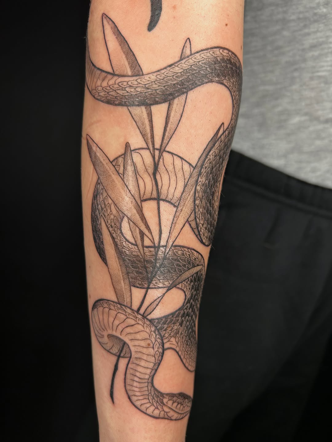Tattoo by @frostyflakes.ink — black_and_grey, realism