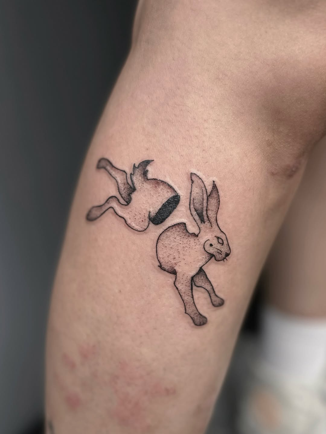 Tattoo by @shroomgrrrl — fine_line, sketch
