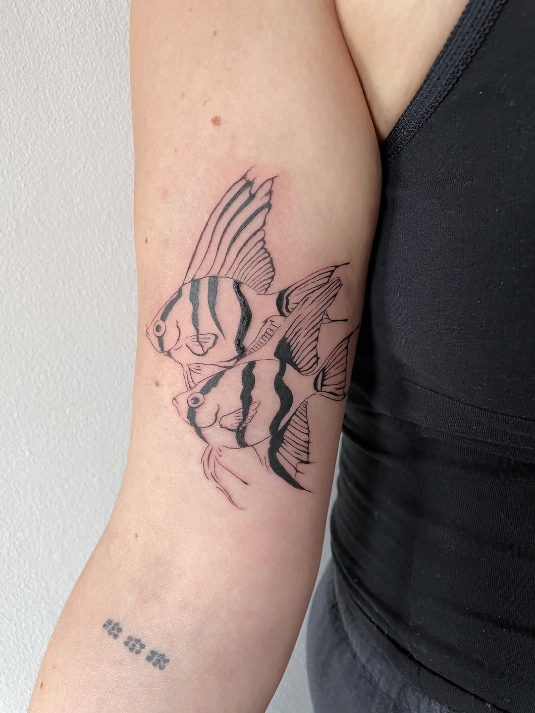 Tattoo by @jasv.tattoo — fine_line