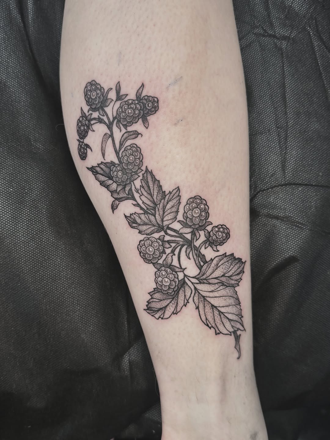 Tattoo by @hillary_blair — black_and_grey, dotwork