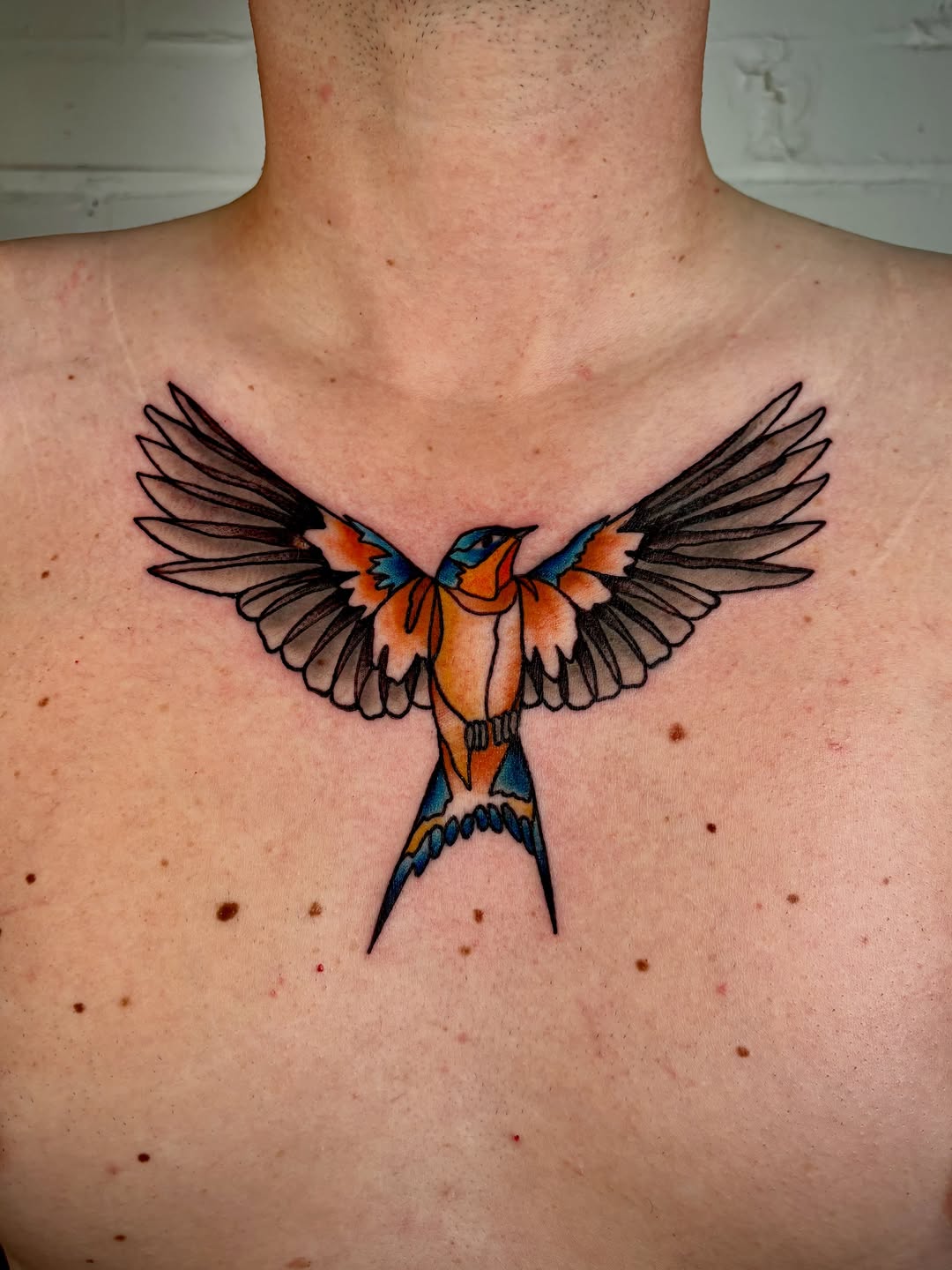 Tattoo by @dougvon_tattoos — american_traditional