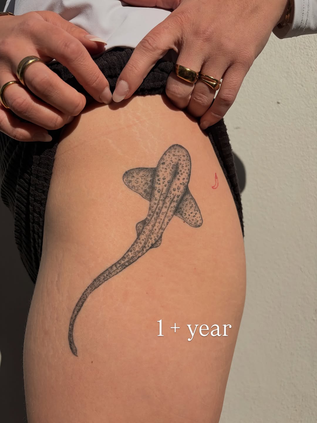 Tattoo by @raini.xo.tattoo β dotwork, fine_line