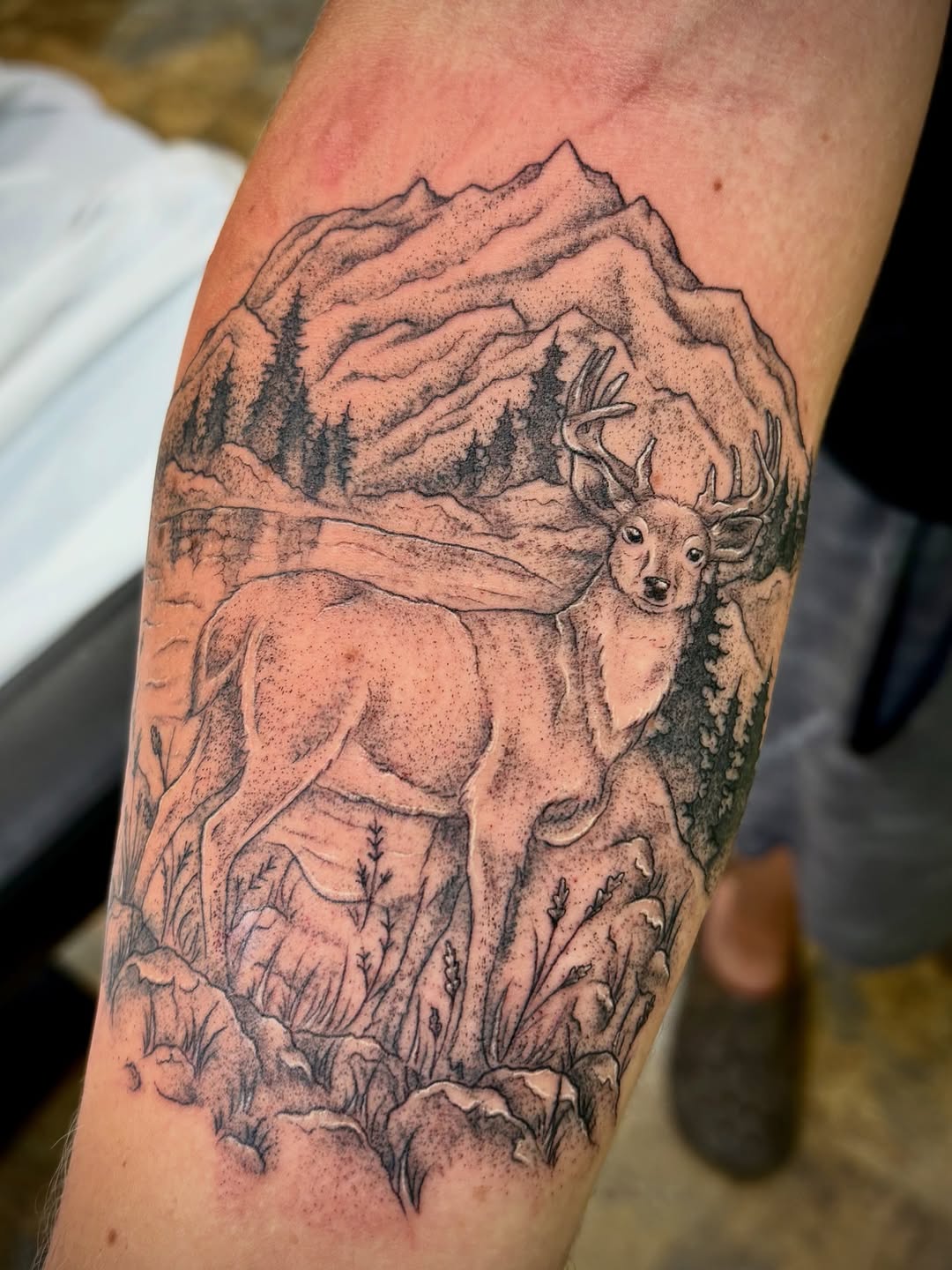 Tattoo by @aves_inks — realism, dotwork