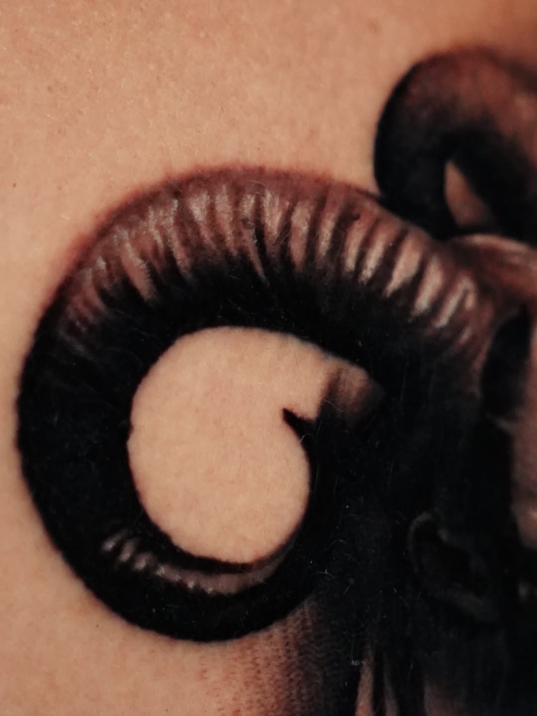Tattoo by @jawbreakerjeremy — realism, black_and_grey