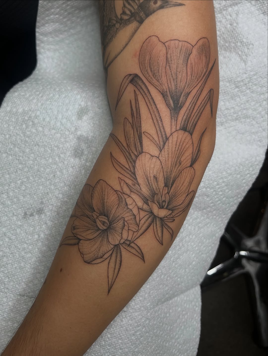 Tattoo by @ramsies — fine_line, black_and_grey