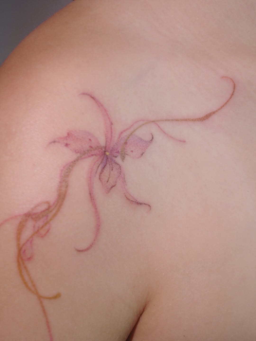 Tattoo by @___drea.dorm — fine_line, watercolor