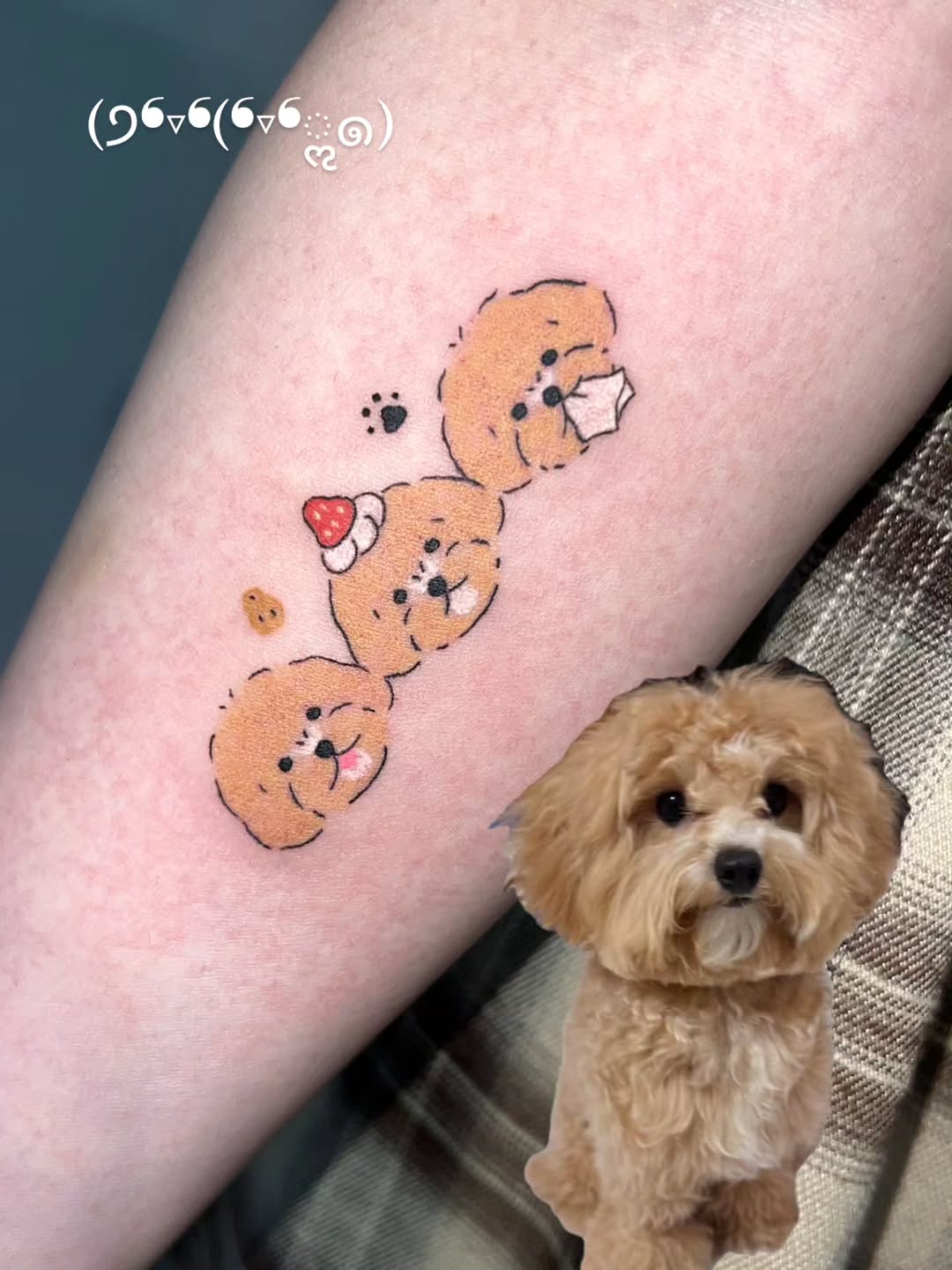 Tattoo by @piggy_boogy — fine_line, minimalist