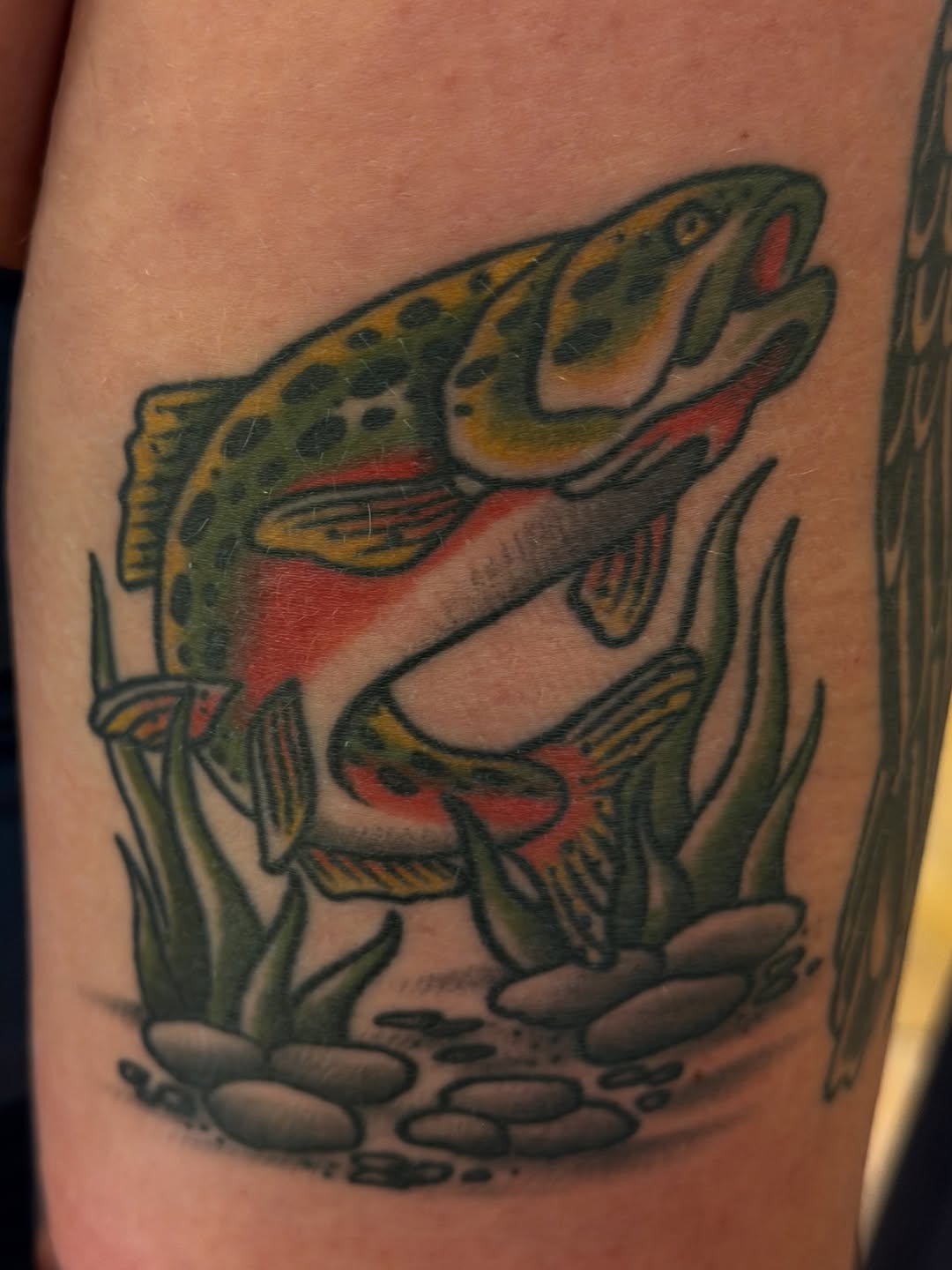 Tattoo by @il.tattoos — american_traditional