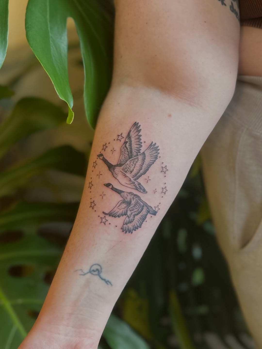 Tattoo by @sarahransom.tattoos — fine_line, black_and_grey