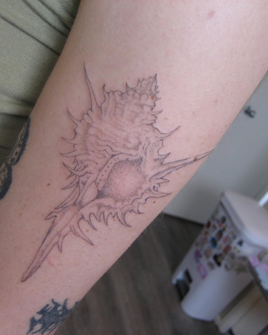 Tattoo by @peachykeentat — dotwork, fine_line