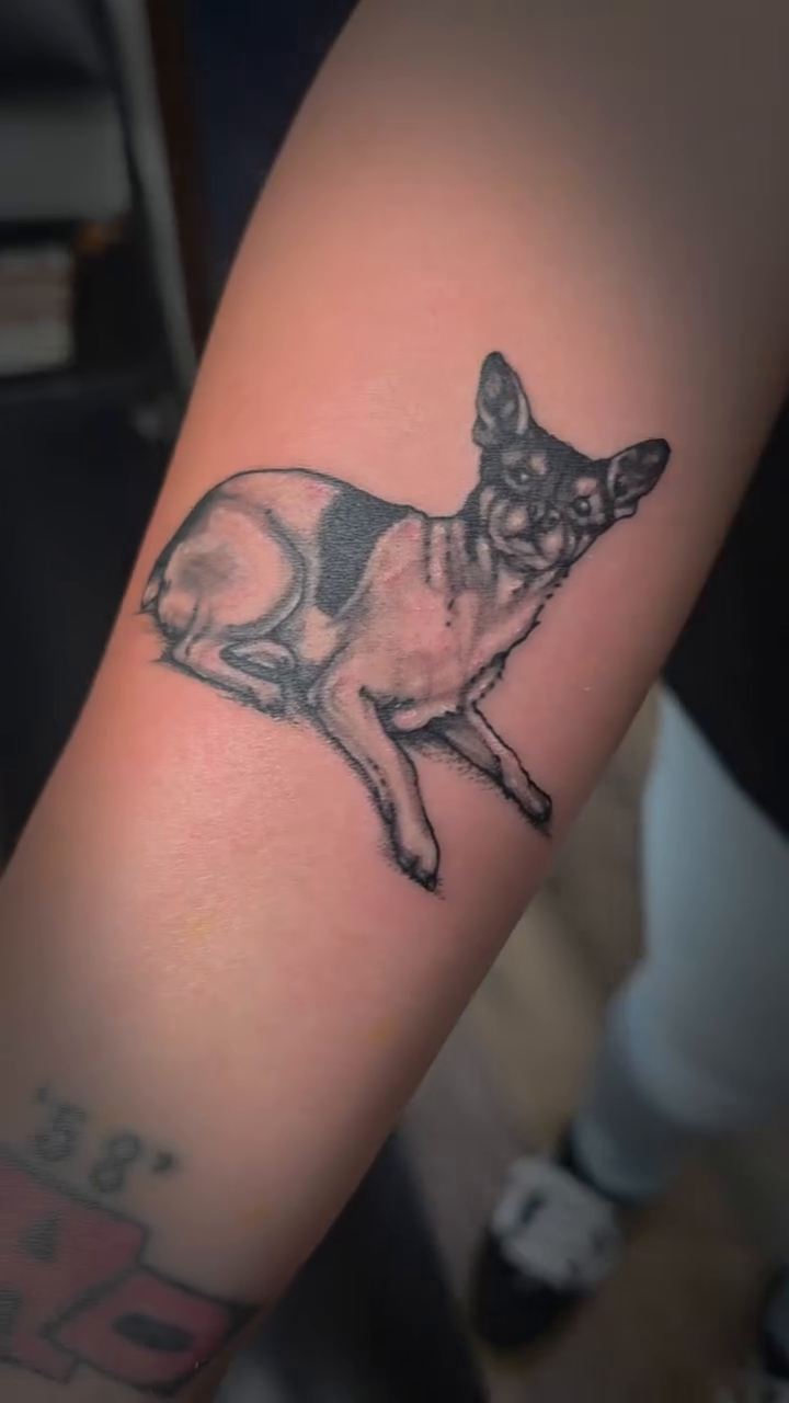 Tattoo by @cerberustattoos — black_and_grey, realism