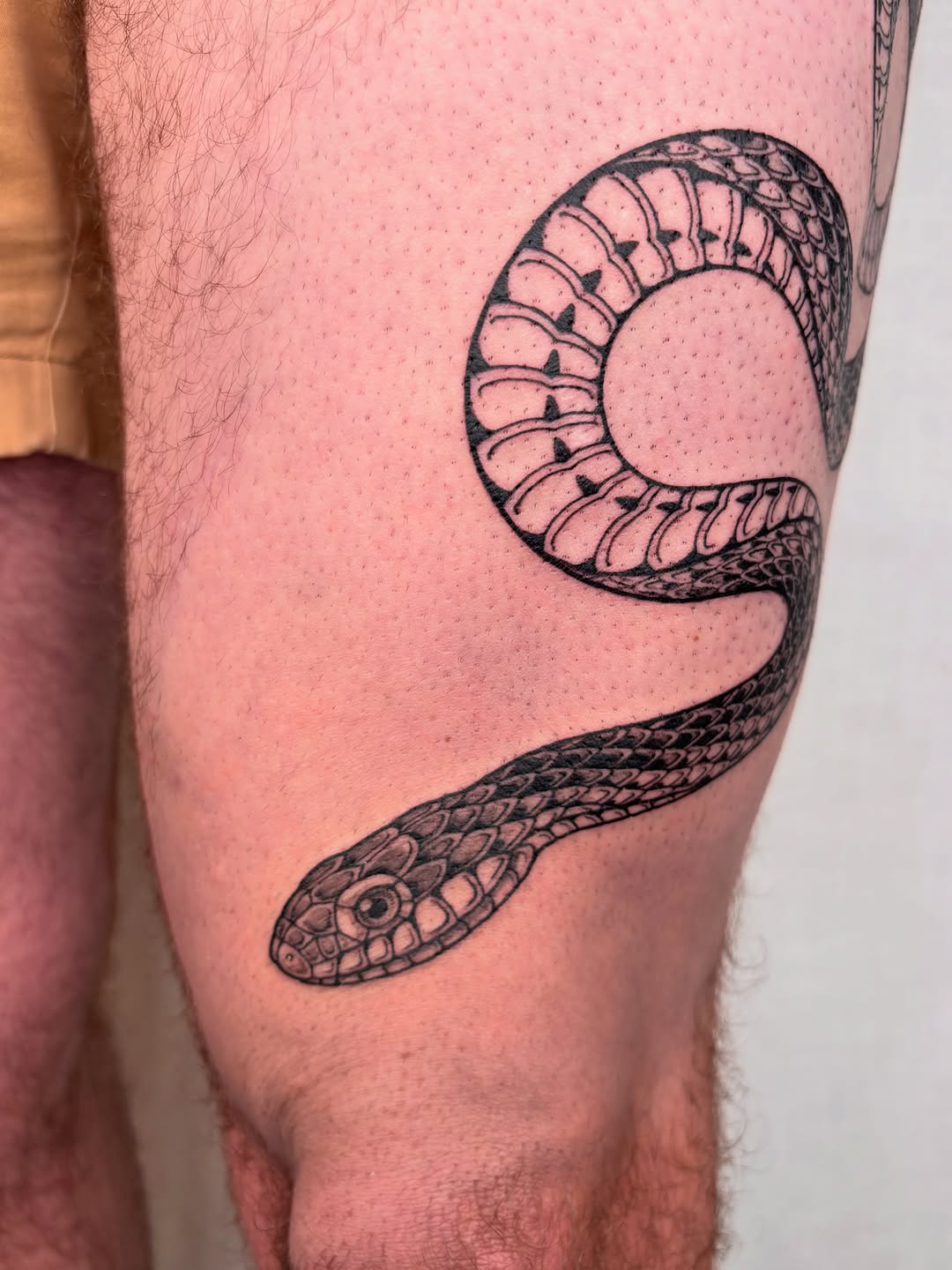 Tattoo by @maggiechotattoo — black_and_grey, realism