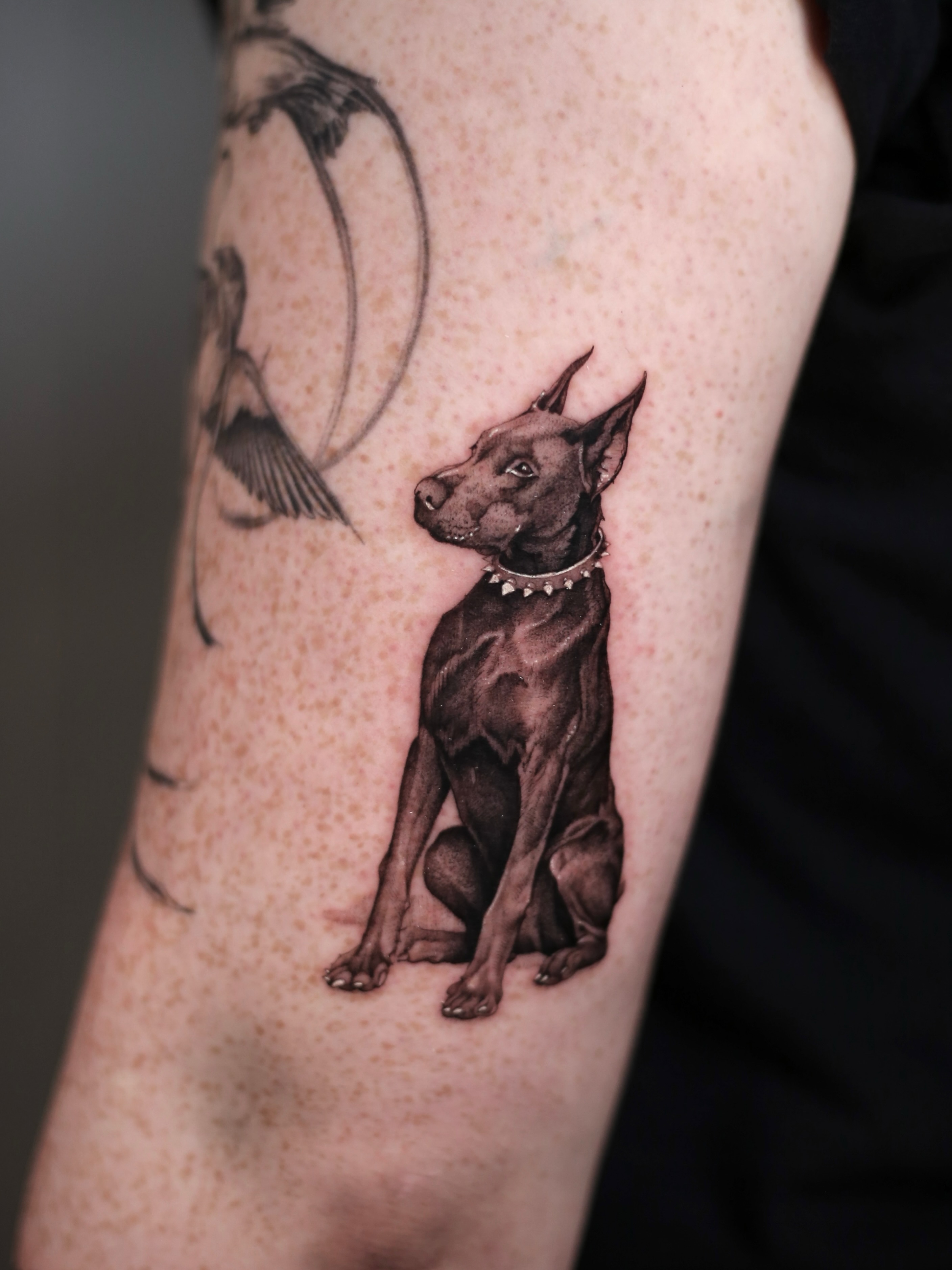 Tattoo by @stevefranciosa.tattoos — realism, black_and_grey
