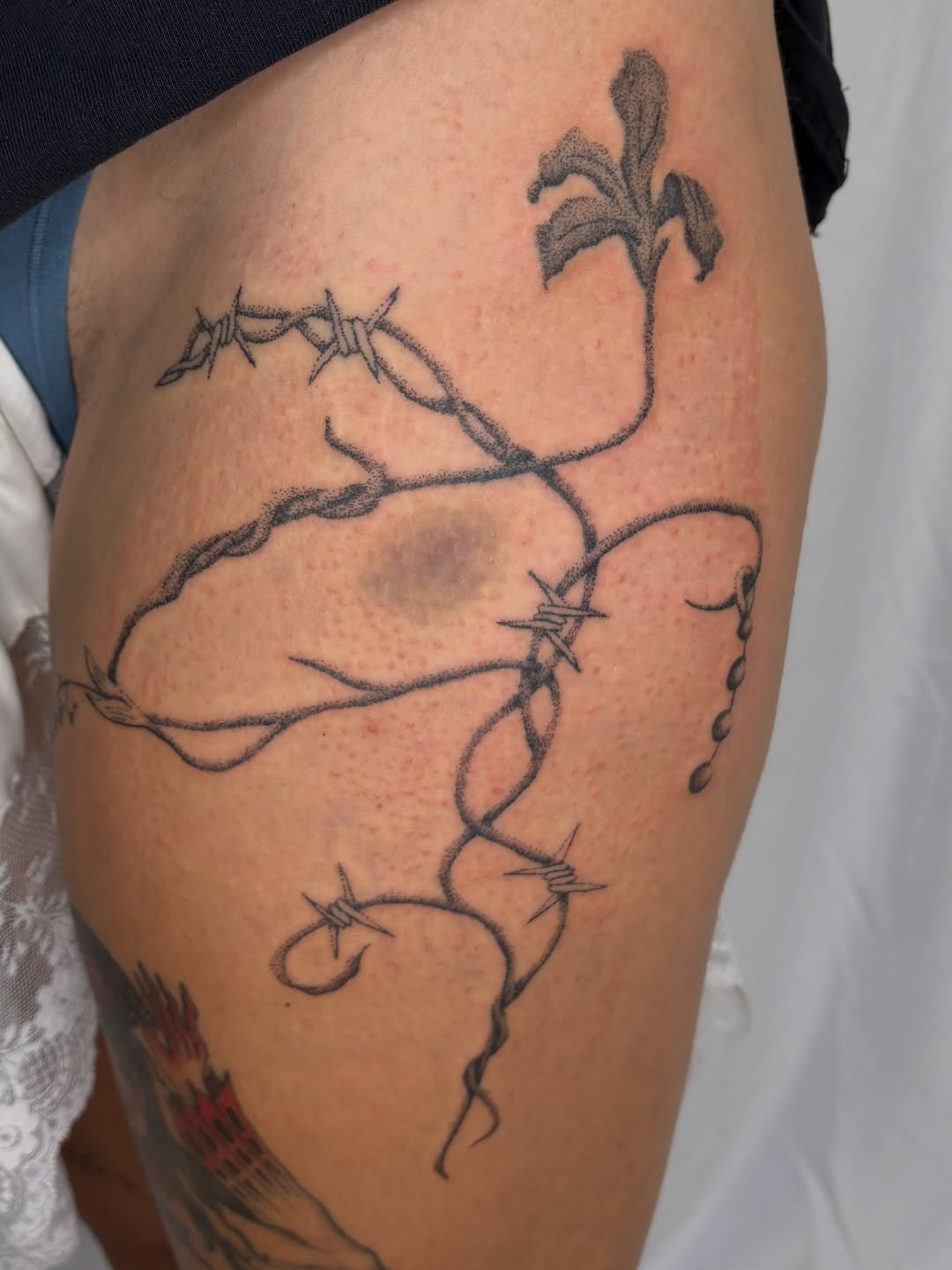Tattoo by @sabpokes — fine_line, dotwork