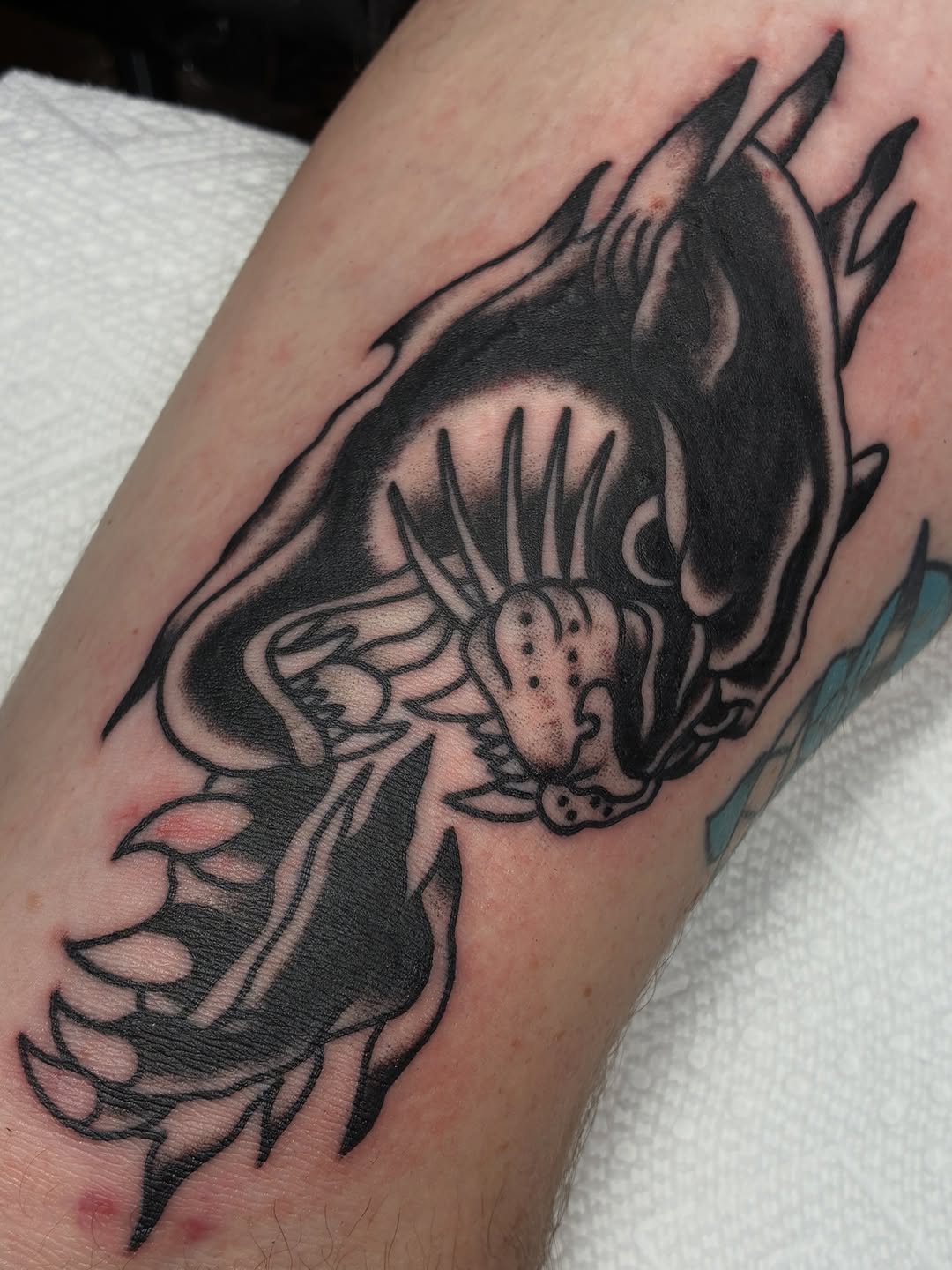 Tattoo by @dirtnaptattoos — american_traditional, black_and_grey