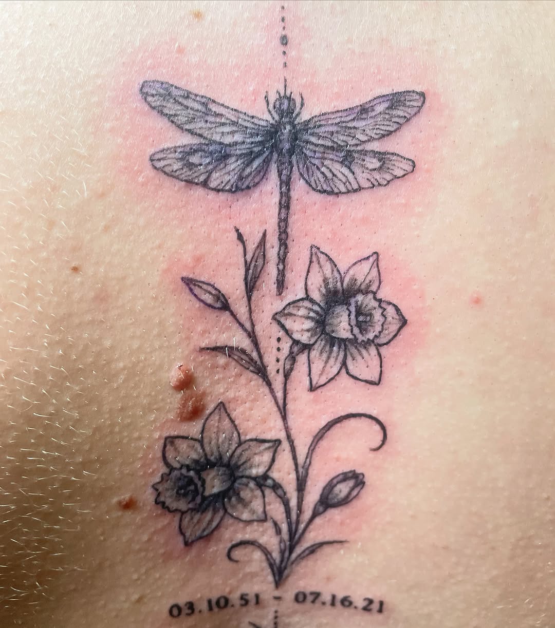 Tattoo by @mstarkweatherart — fine_line, black_and_grey