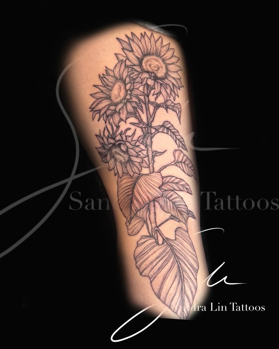 Tattoo by @_sandralintattoos โ black_and_grey, fine_line
