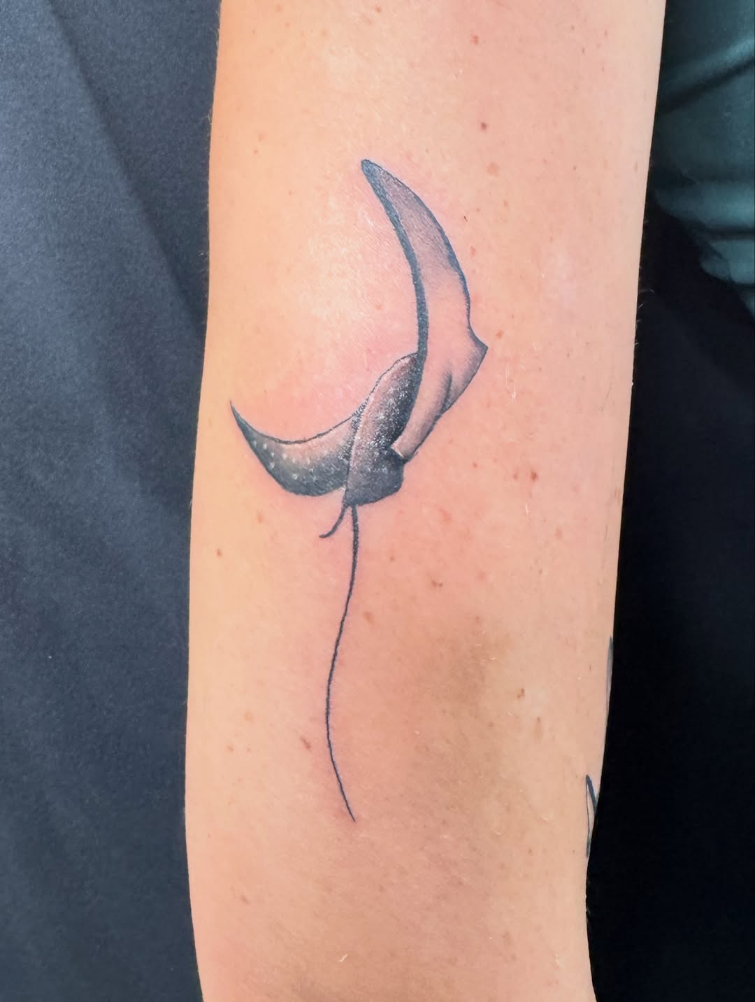 Tattoo by @brandonspindlertattoos — fine_line, black_and_grey