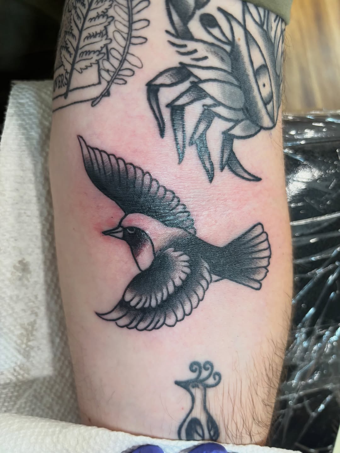 Tattoo by @fracas_tattoo — american_traditional, black_and_grey