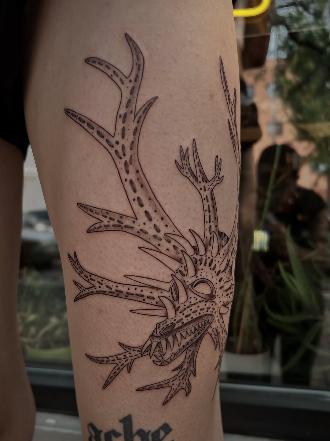 Tattoo by @southpaw.stipple โ blackwork, dotwork
