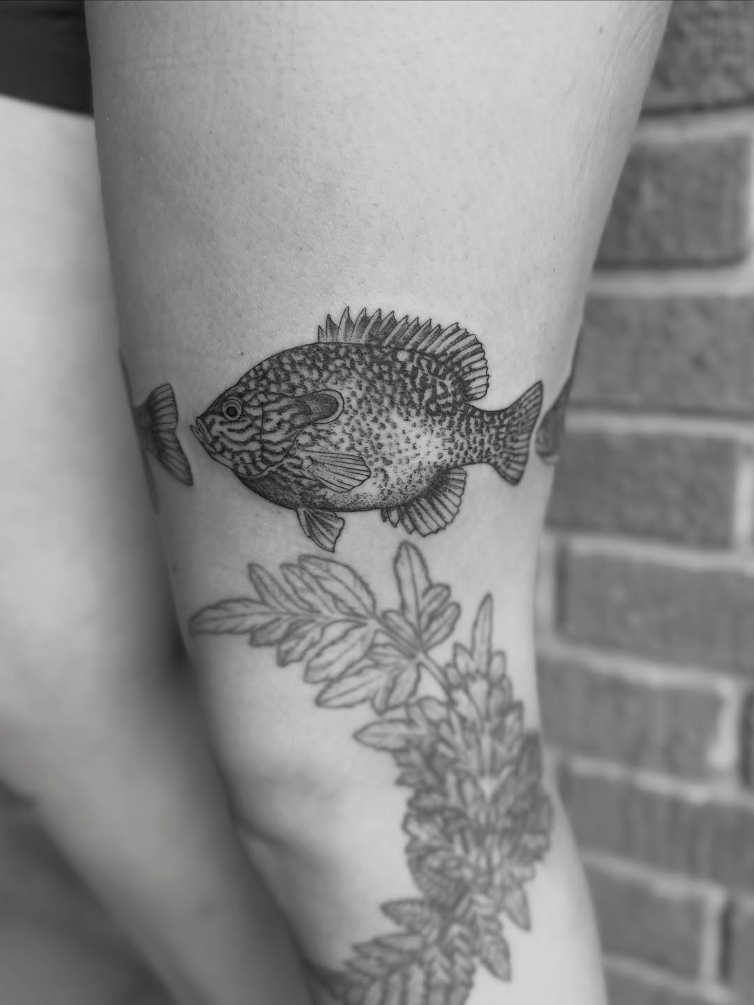 Tattoo by @alexbrooke — black_and_grey, realism