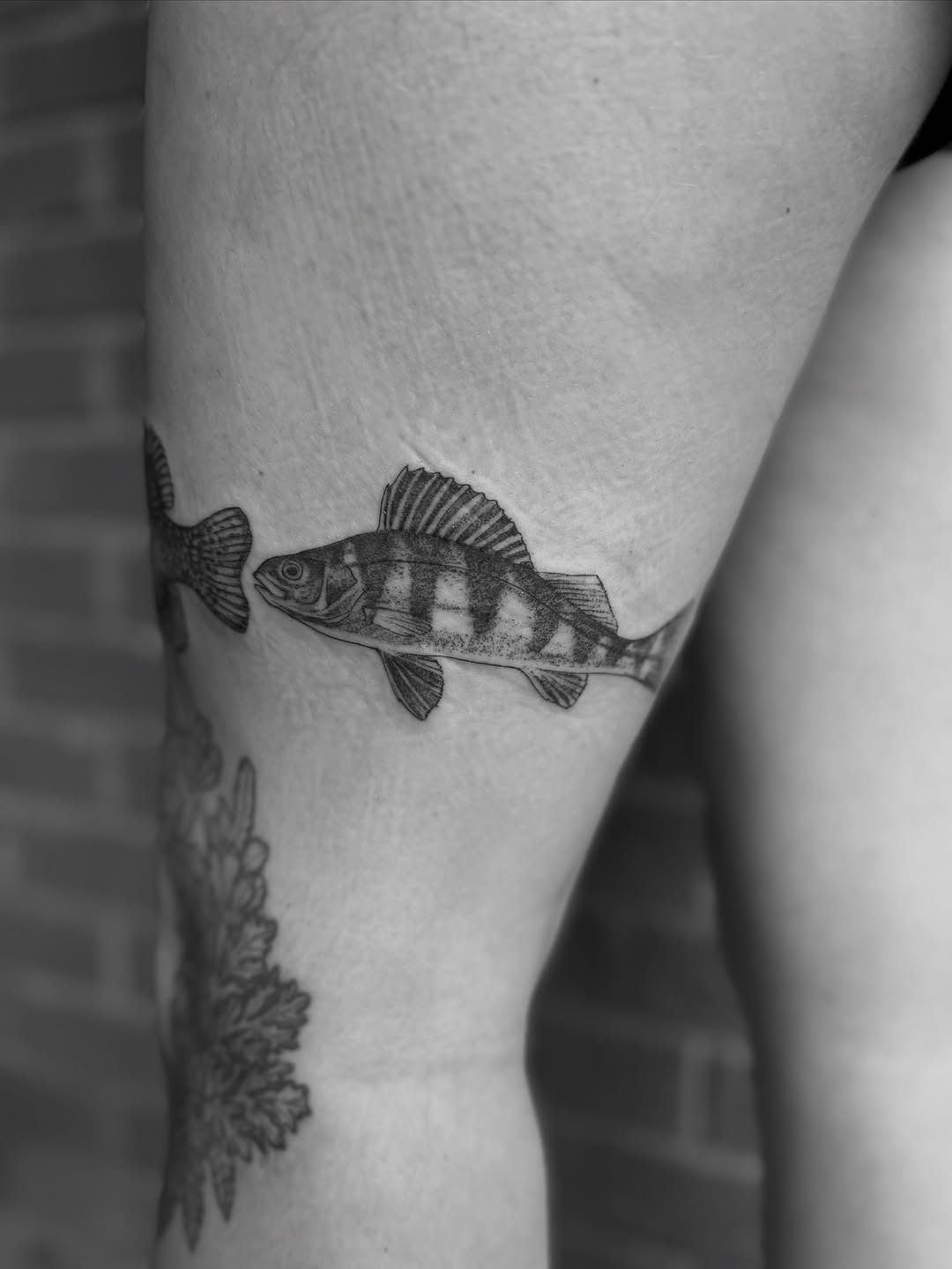 Tattoo by @alexbrooke — realism, black_and_grey
