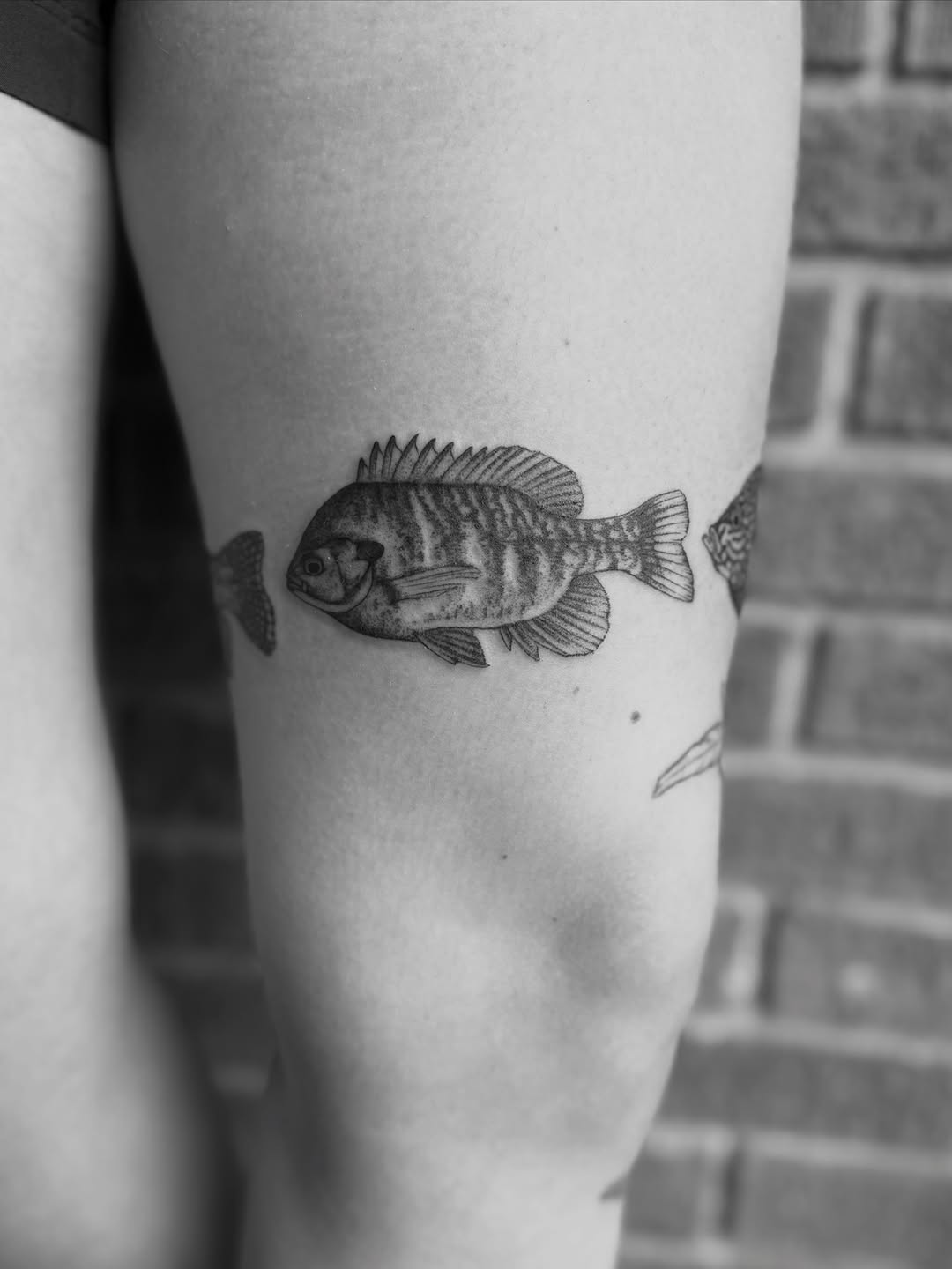Tattoo by @alexbrooke — realism, black_and_grey