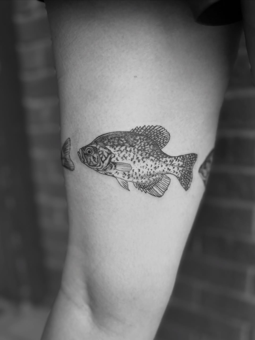 Tattoo by @alexbrooke — realism, black_and_grey