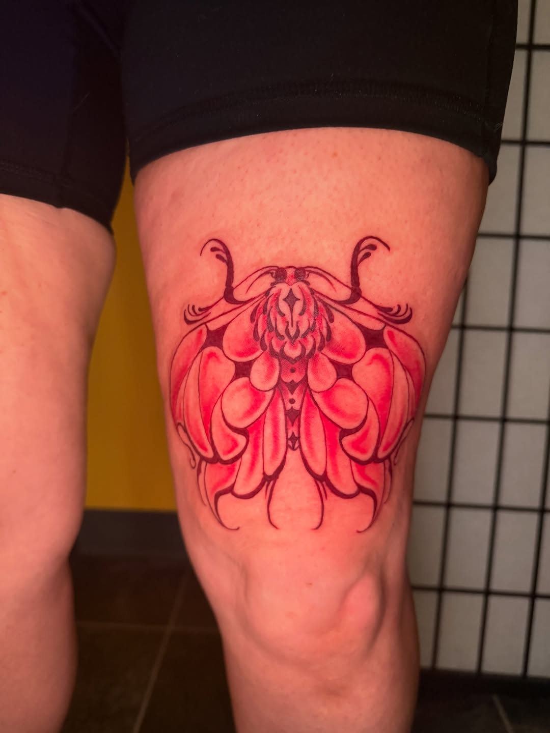 Tattoo by @samanthahouston_art โ blackwork, ornamental