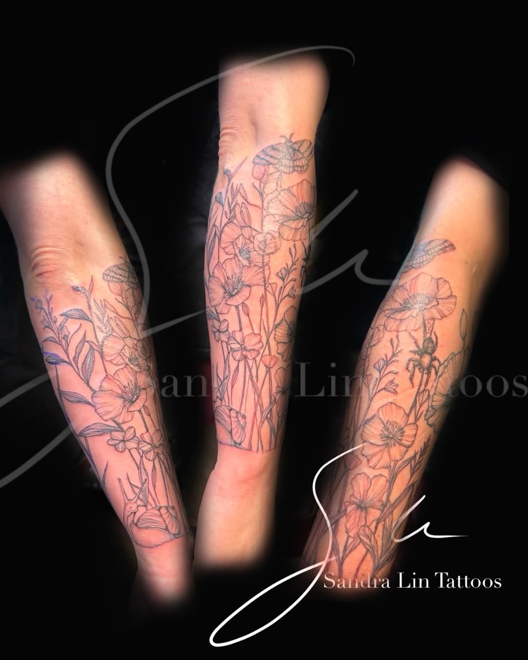 Tattoo by @_sandralintattoos โ fine_line, illustrative