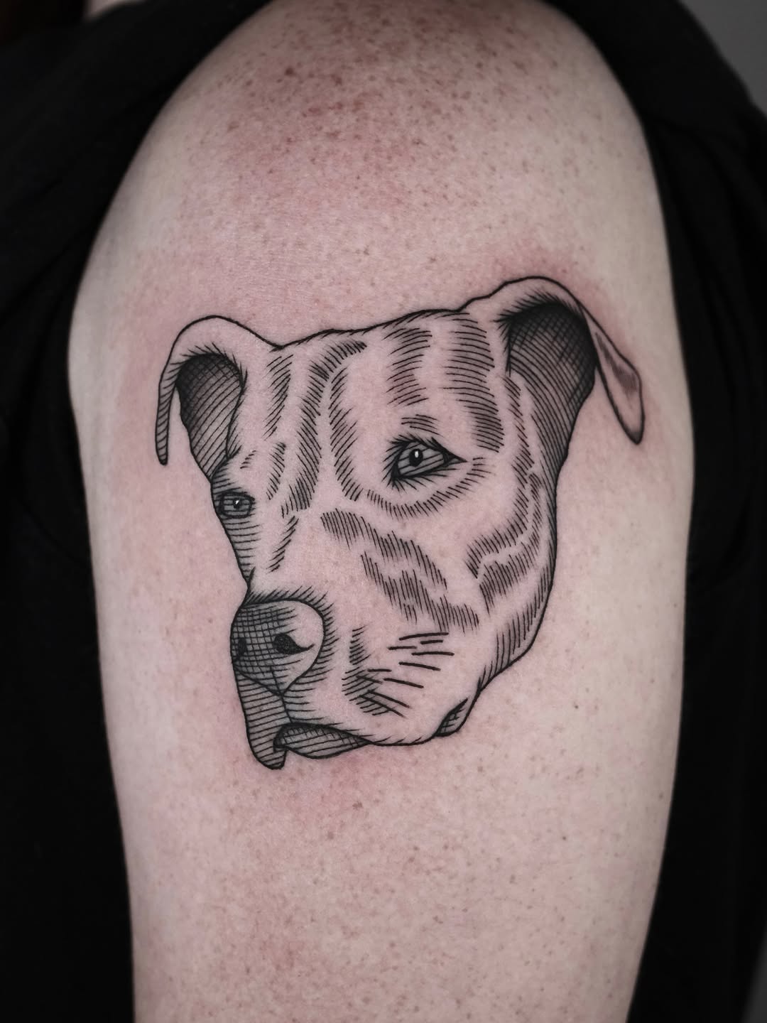 Tattoo by @nocool_kim — black_and_grey, realism