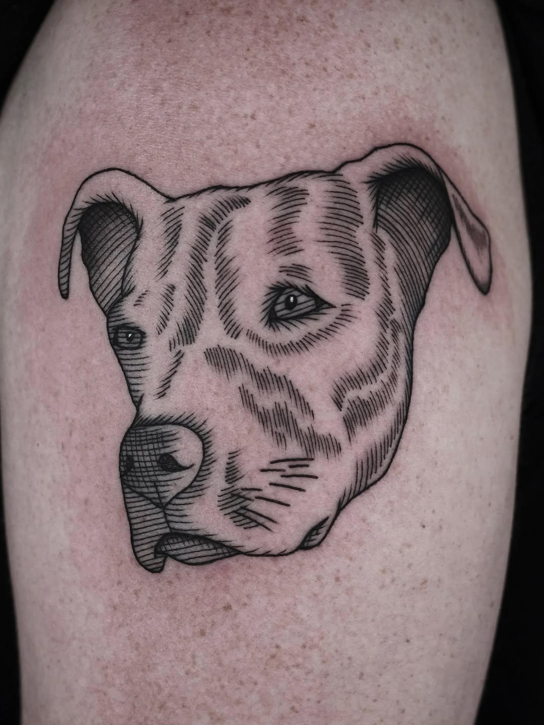 Tattoo by @nocool_kim — black_and_grey, illustrative