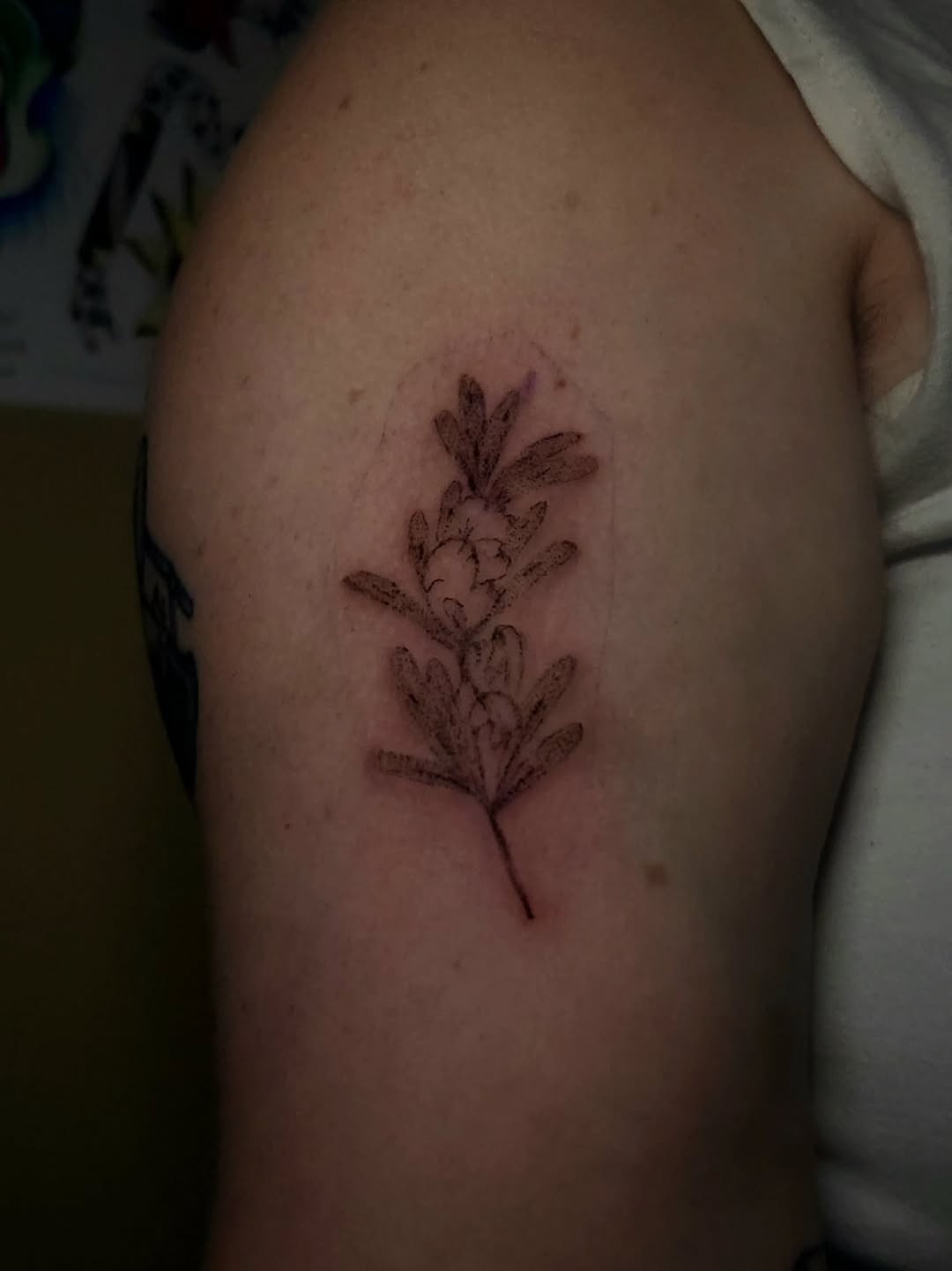 Tattoo by @pokenround — fine_line, black_and_grey