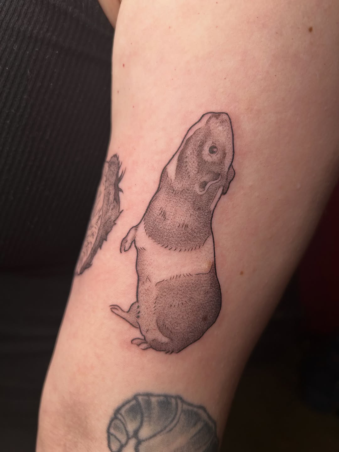 Tattoo by @frostyflakes.ink — realism, black_and_grey