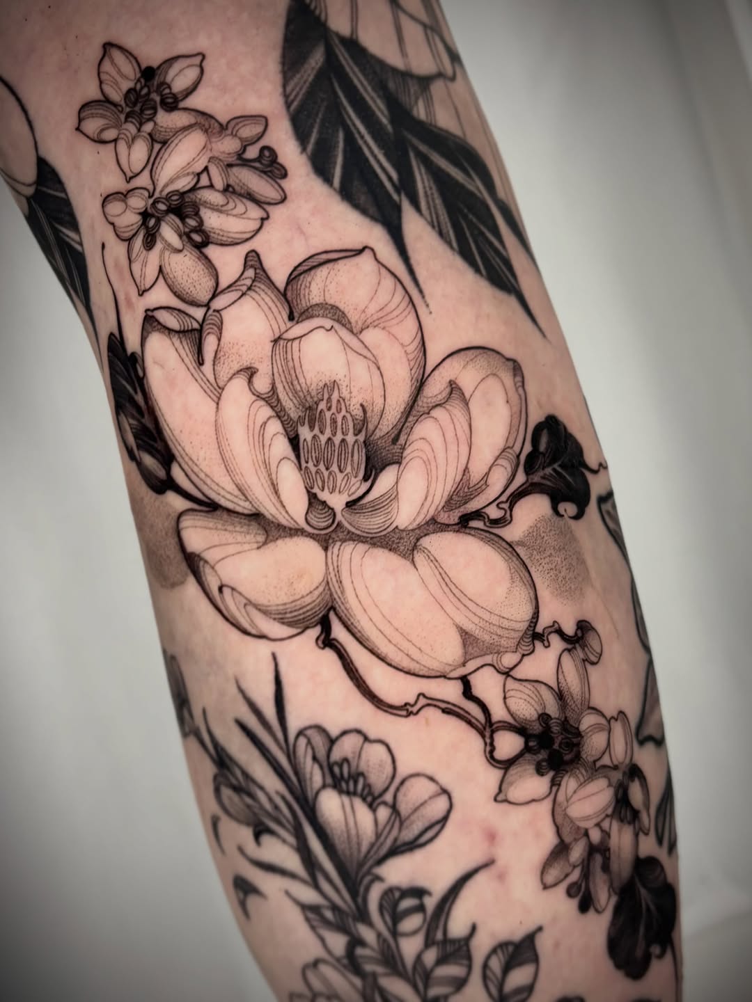 Tattoo by @reeslynn_tattoo β black_and_grey, dotwork