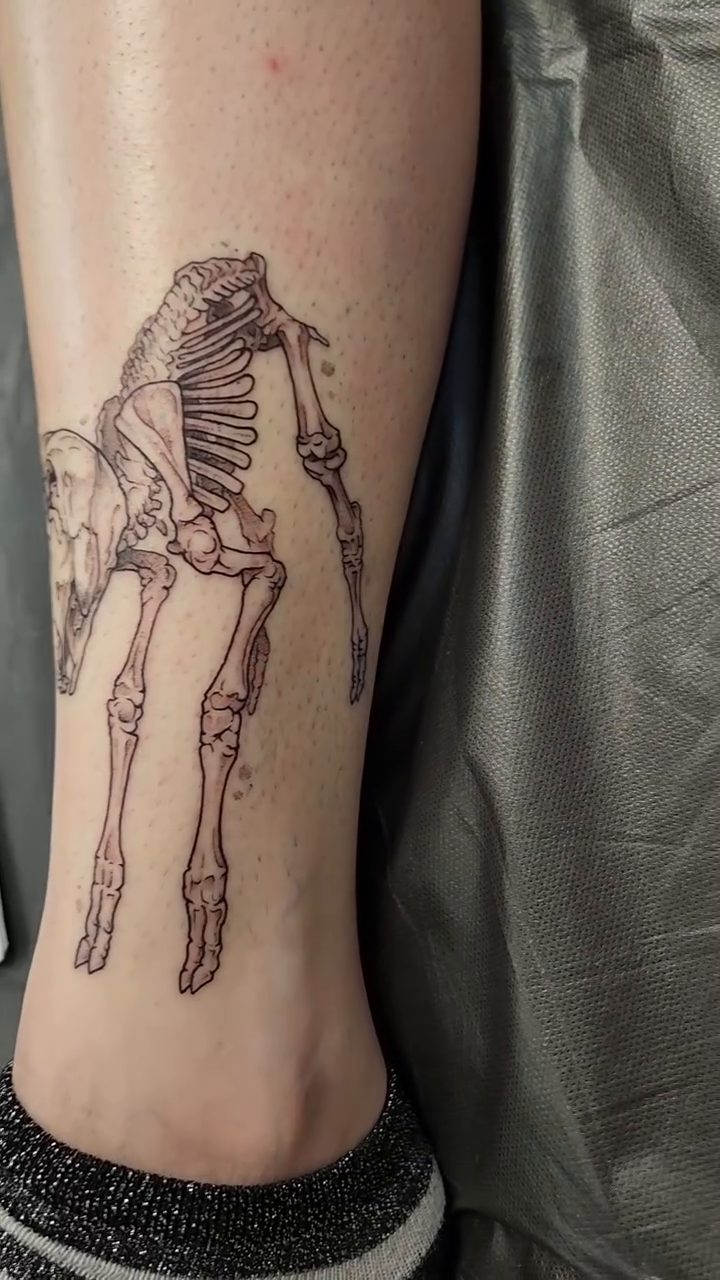 Tattoo by @cierahightattoos — fine_line, illustrative