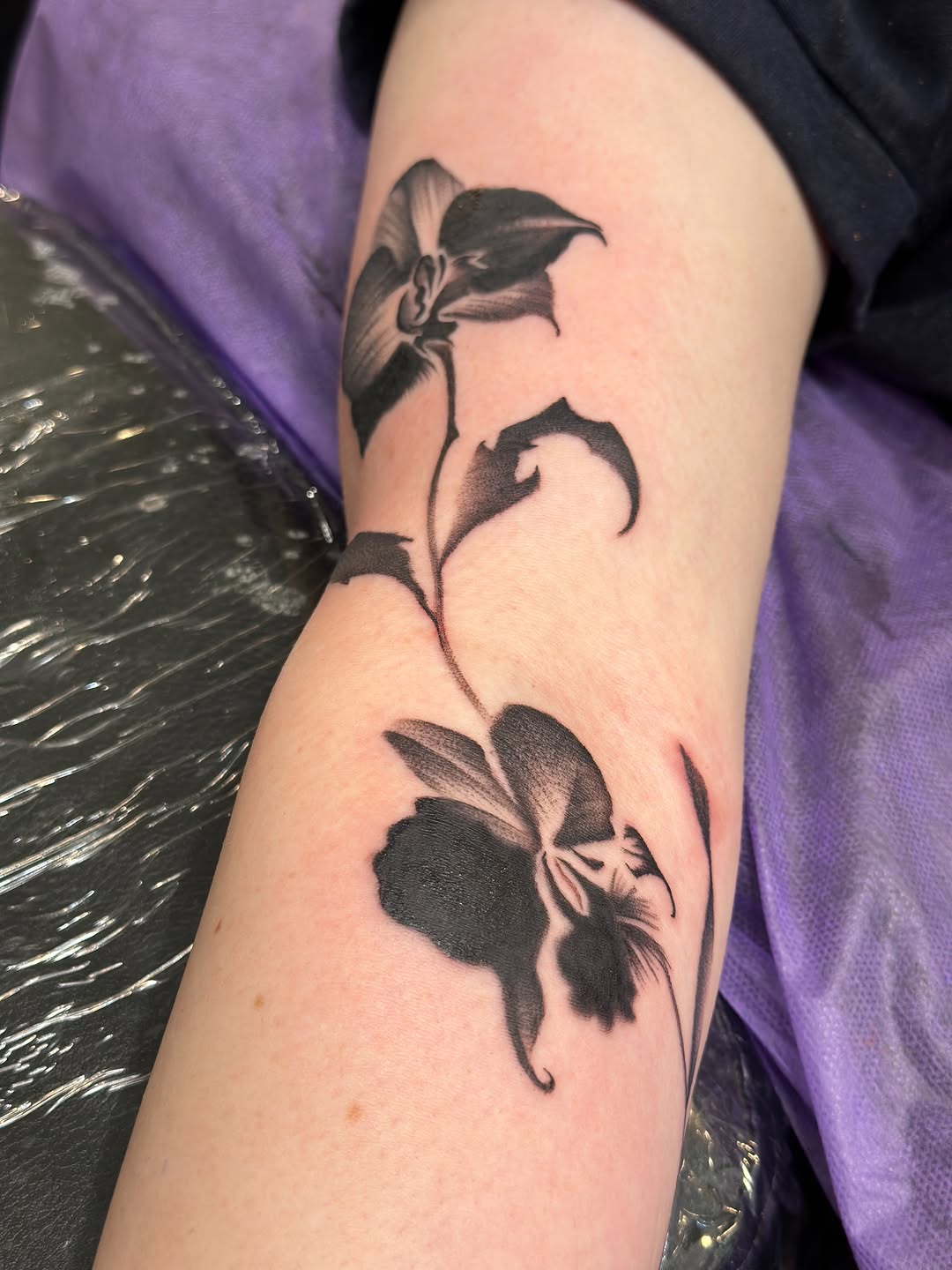 Tattoo by @mayraetats — black_and_grey, realism