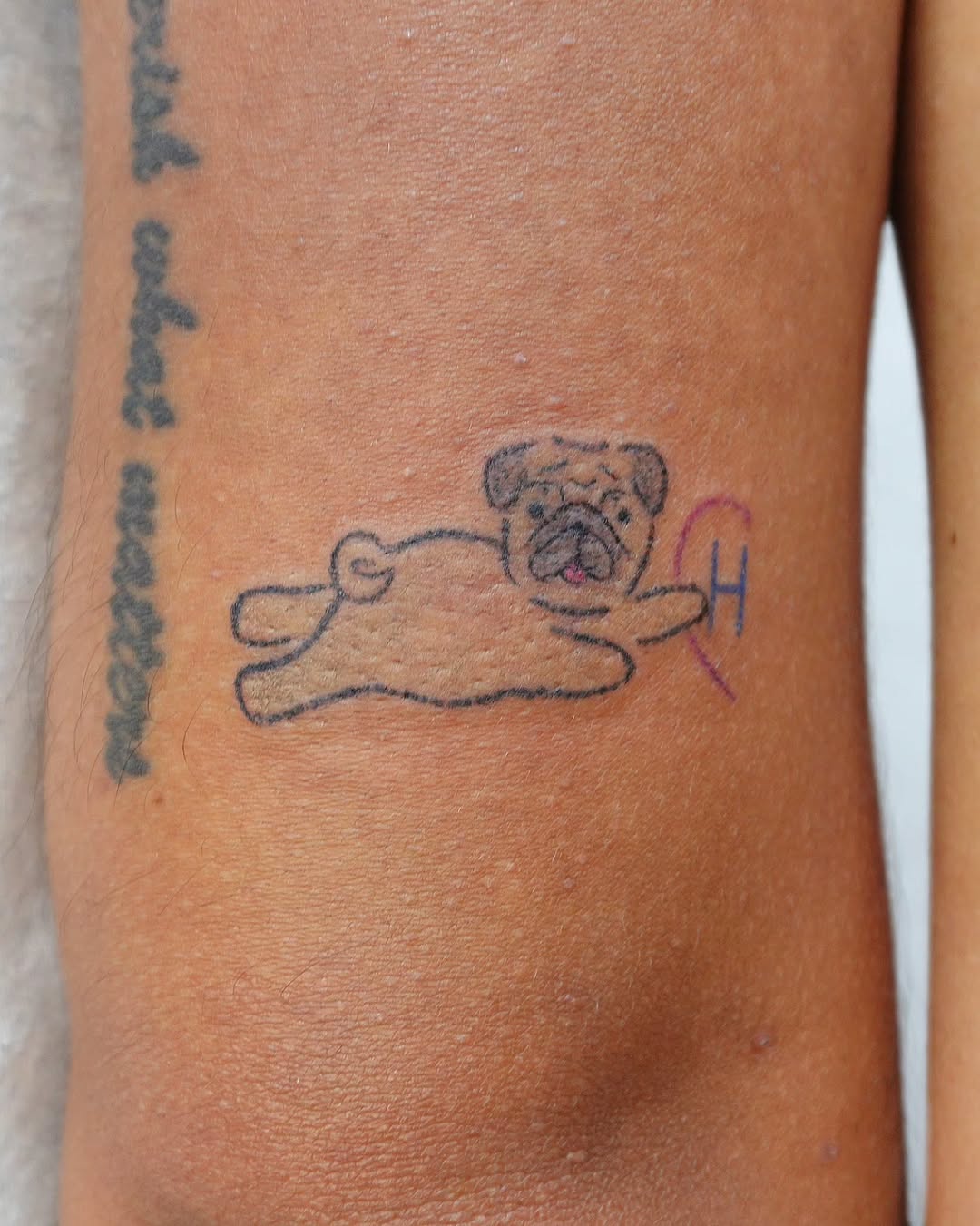 Tattoo by @catnip.tattoo — fine_line, minimalist