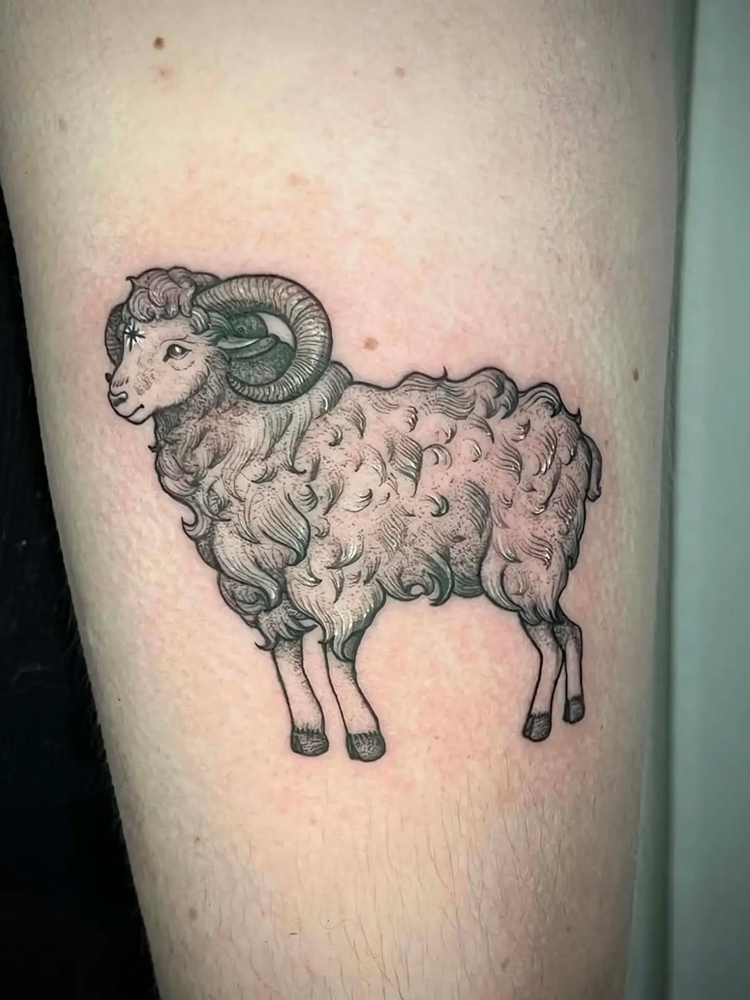 Tattoo by @tallis.andrea — black_and_grey, realism
