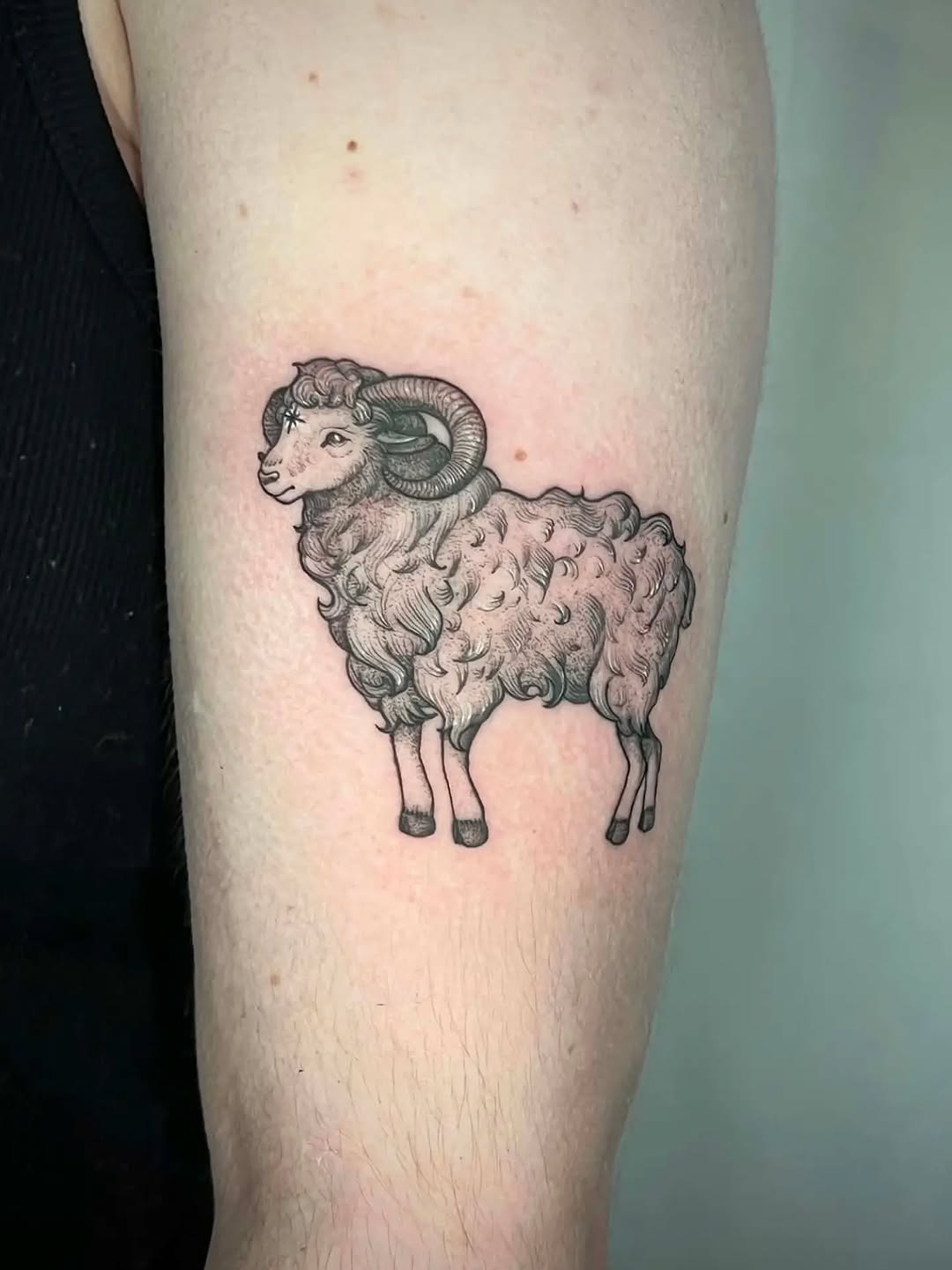 Tattoo by @tallis.andrea — black_and_grey, realism