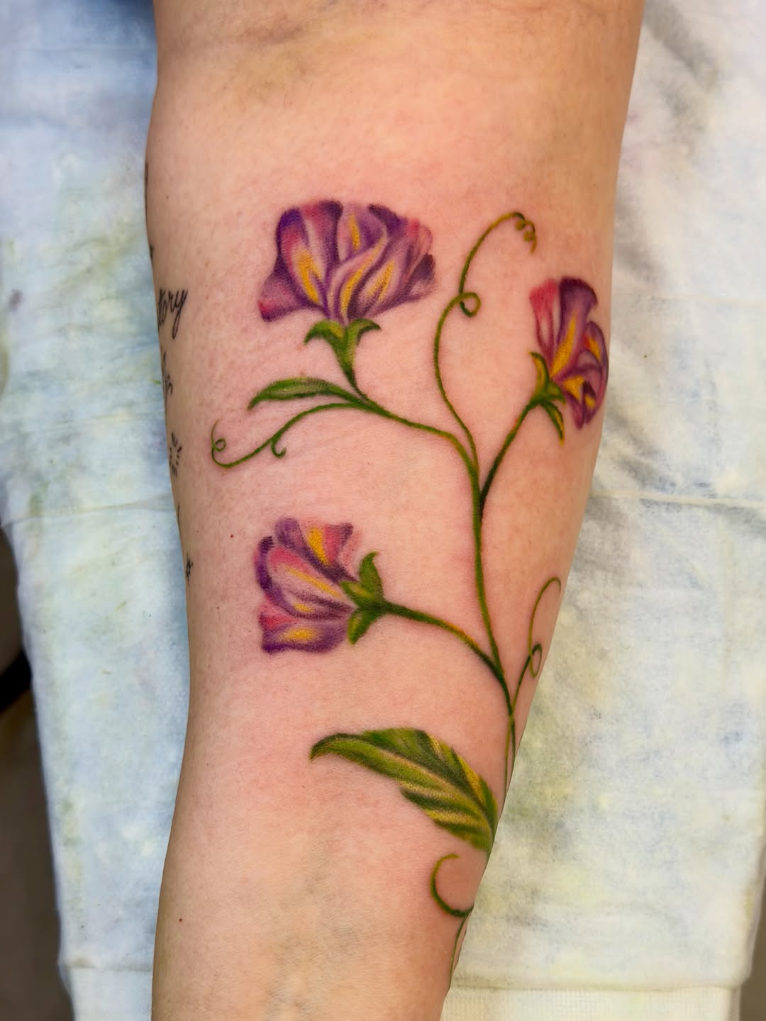 Tattoo by @caitlynntattoos โ fine_line, realism
