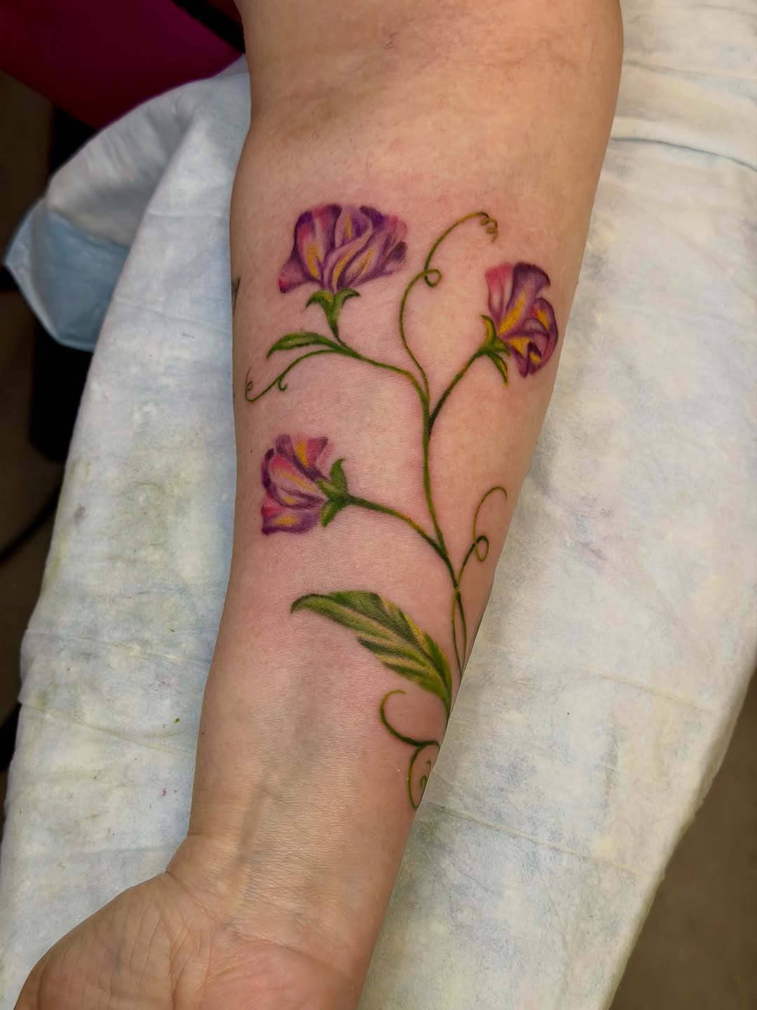 Tattoo by @caitlynntattoos โ fine_line, realism