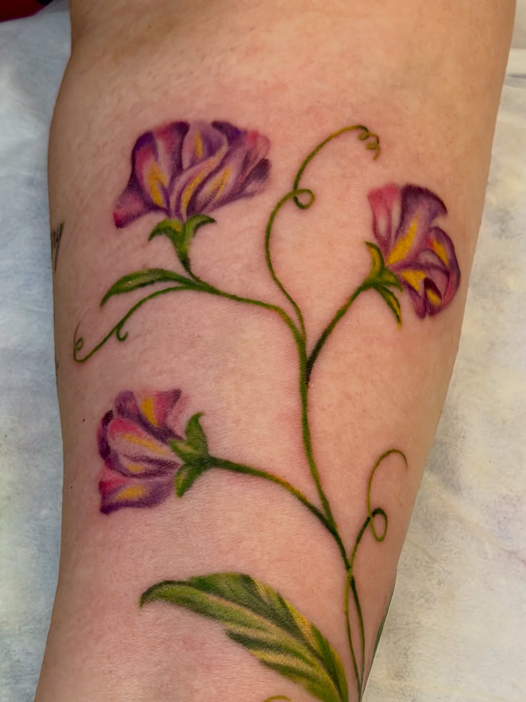 Tattoo by @caitlynntattoos โ realism, fine_line