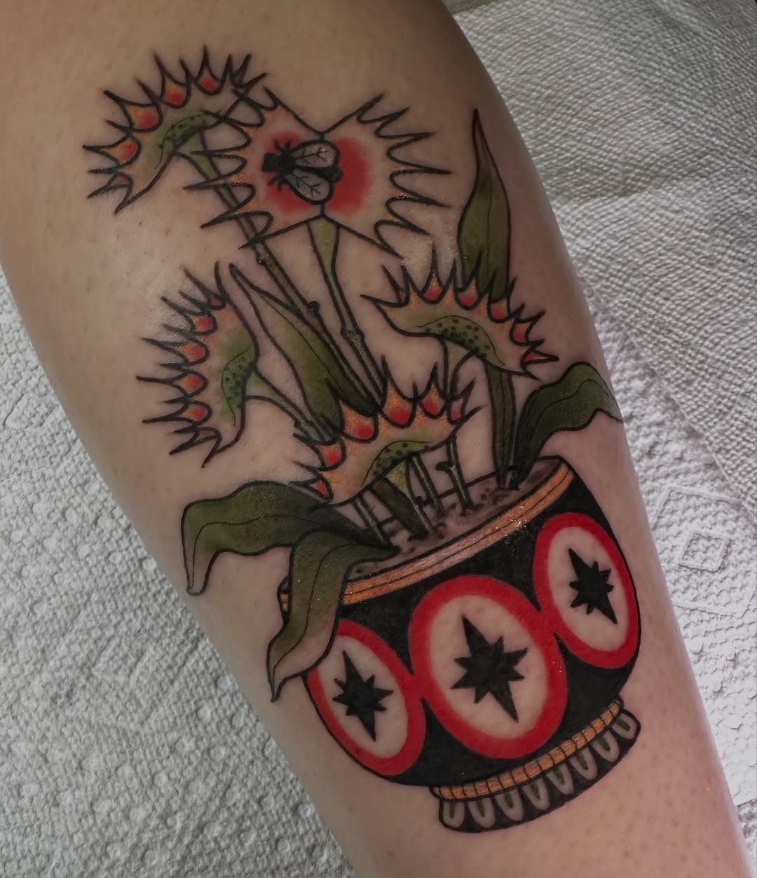 Tattoo by @sierra_does_tattoos — american_traditional