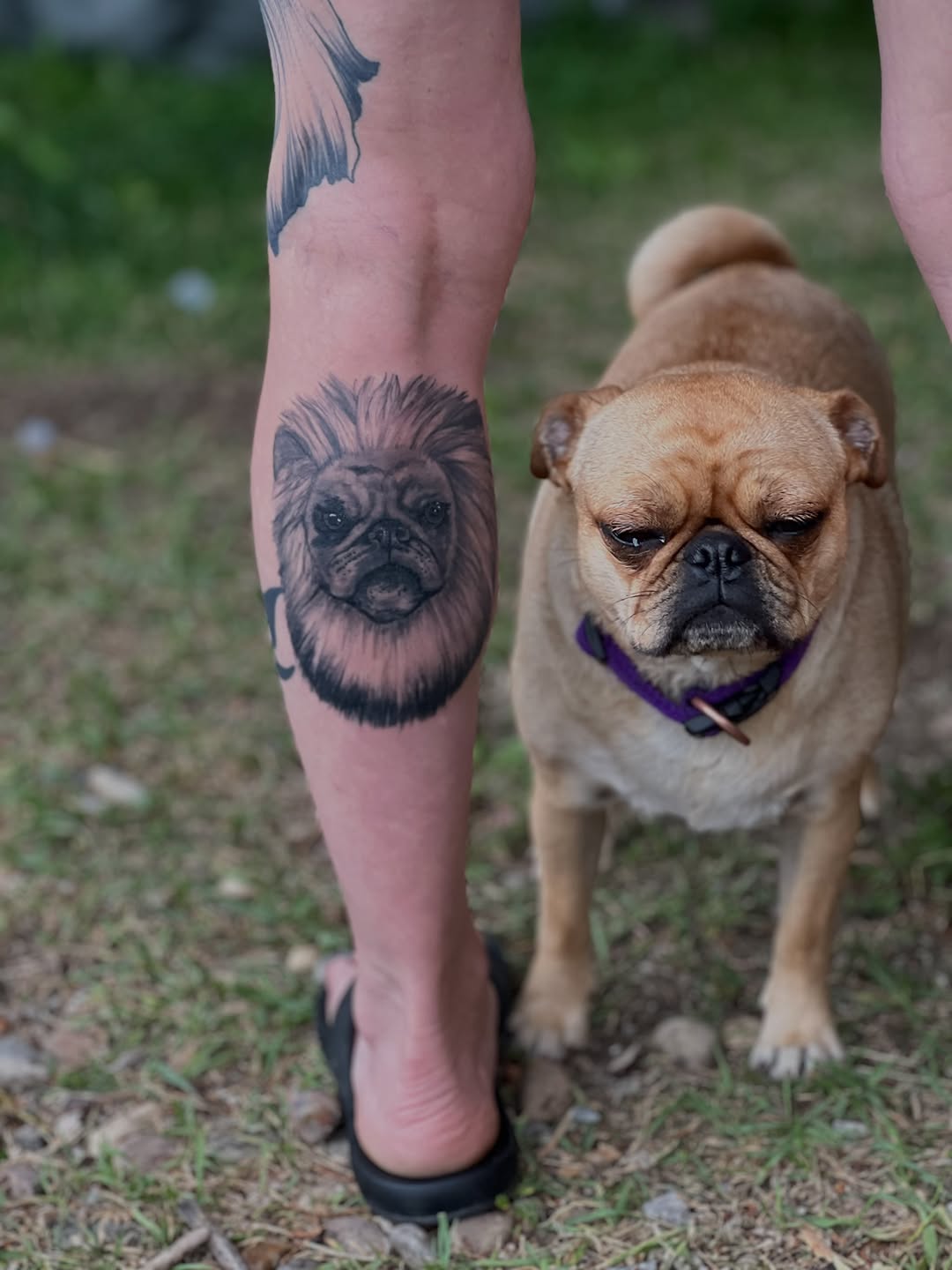 Tattoo by @natasha.p.tattoos — realism, black_and_grey