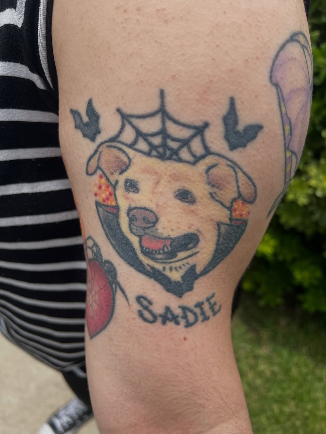 Tattoo by @mortismarauder — new_school, lettering_script