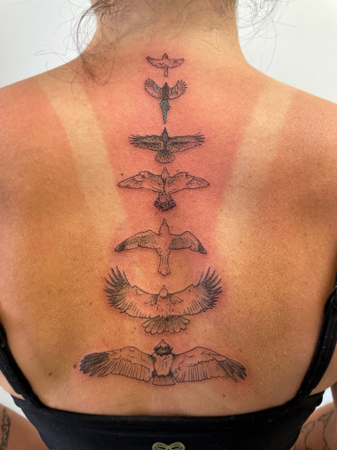 Tattoo by @stephtattoos13 — fine_line, black_and_grey